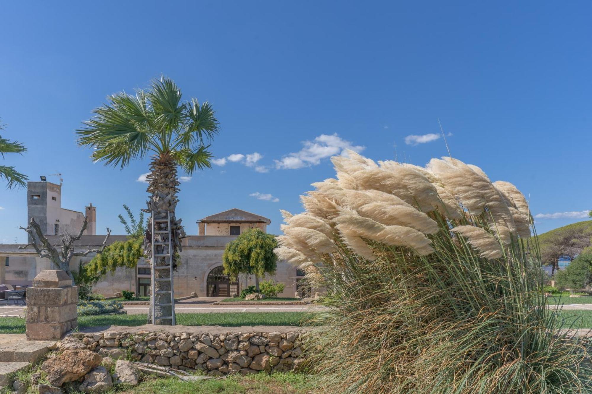 Masseria Casina Bellanova Porto Cesareo Bagian luar foto